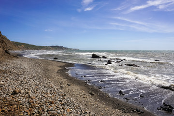 Beach on the Pacific Ocean coast, California