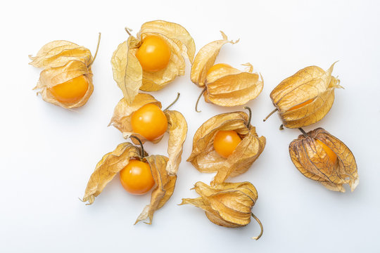 Flowers and fruits of Fisalis (Physalis peruviana) isolated on white background. Viewed from above.