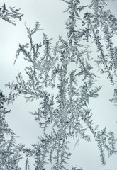 Ice crystals of frost on a window in Rangeley, Maine.