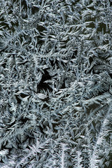 Ice crystals of frost on a window in Rangeley, Maine.