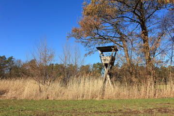 Hochsitz am Baum