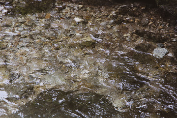 water in the river