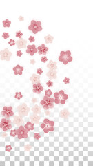 Naklejka na ściany i meble Vector Realistic Pink Flowers Falling on Transparent Background. Spring Romantic Flowers Illustration. Flying Petals. Sakura Spa Design. Blossom Confetti. Design Elements for Wedding Decoration.