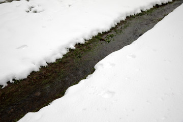 Atatürk Arboretumu Bahcekoy snowy photos Sariyer istanbul