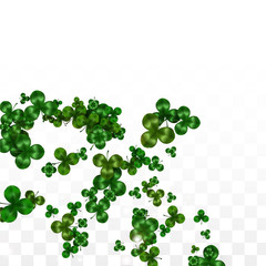 Vector Clover Leaf  Isolated on Transparent Background with Space for Text. St. Patrick's Day Illustration. Ireland's Lucky Shamrock Poster. Invintation for Concert in Pub. Top View. Success Symbols.