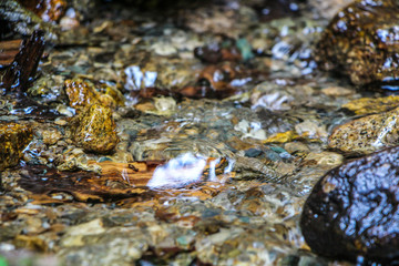 stream in autumn