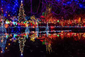 Christmas Lights Reflection Van Dusen Garden Vancouver British Columbia Canada
