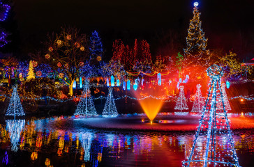 Christmas Lights Reflection Van Dusen Garden Vancouver British Columbia Canada