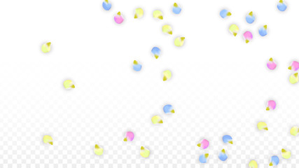 Vector Realistic Colorful Petals Falling on Transparent Background.  Spring Romantic Flowers Illustration. Flying Petals. Sakura Spa Design. Blossom Confetti. Design Elements for Wedding Decoration.