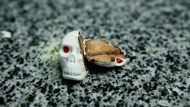 panorama of cut in half candy shaped skeleton skull