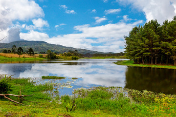Obraz premium Perimbo dam lake, with many trees and lawn in the surroundings, Petrolandia, Santa Catarina, Brazil