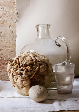 Celery root next to stone