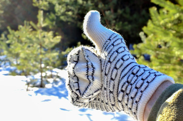 Warm winter glove on a background of green trees in the forest and white snow. The concept of the completion of winter and the arrival of spring. Warm weather outside after frost.