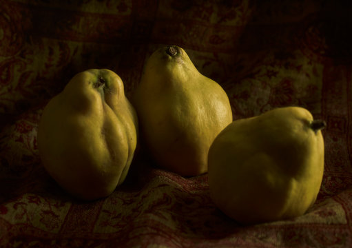 Three  ripe quinces on patterned fabric