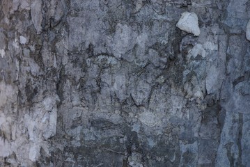 gray stone background from dirty rubbed concrete wall
