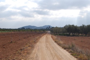 Fototapeta na wymiar Farmers Country Road, Valencia, Spain