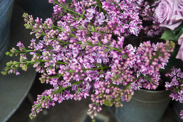 branches of lilac for sale in the store