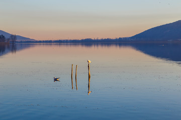 Kastoria, Greece. An amazing destination for nature and calm family vacations
