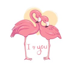 Flamingo bird illustration design on background