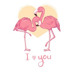 Flamingo bird illustration design on background