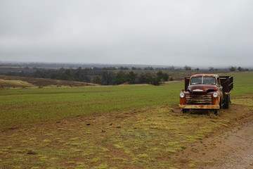 Abandoned car in a field