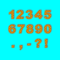 Decorative numbers and punctuation marks. Saturated fish scale pattern.  © Svetlana Parshakova