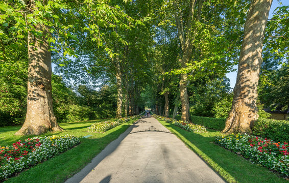 Germany, Baden-Wuerttemberg, Ludwigsburg, Ludwigsburg Palace, alley