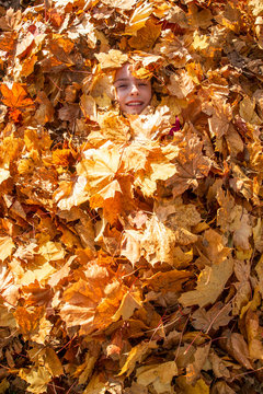 Smiling girl covered with autumn leaves