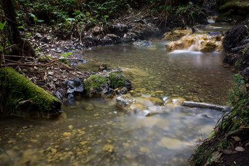 Naklejka na ściany i meble Lovely milky hot springs stream in the middle of the wood of Gede Pangrango Mountain