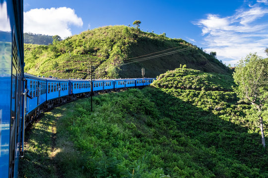 Blue train driving through tea fields