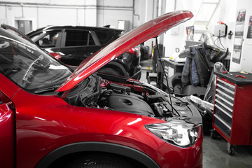 Car repair and service station. Automobile disassembly. Warranty