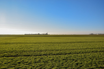 Fototapeta na wymiar Feld, Getreide, Weide, Grün, Gras, Felder, Himmel, Landschaft, Hintergrund