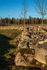 Old stone wall at pasture © Björn Kristersson