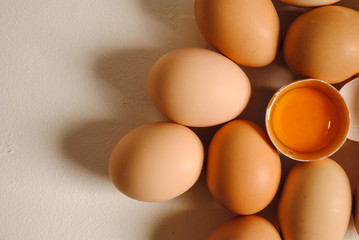 Chicken eggs on white background