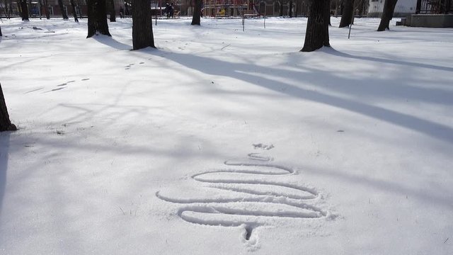 The drawing of a fir-tree on snow.
