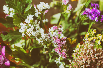 beautiful bouquet of bright flowers isolated on white. beautiful bouquet of wild flowers.