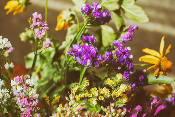 Colorful floral background with beautiful bells in the sunlight.