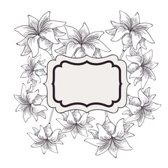 frame with plants and herbs isolated icon