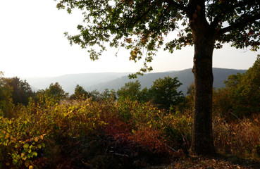 Odenwald