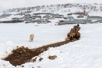 Turkey Bingol Snow view