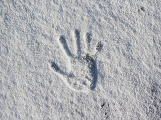 Human handprint in fresh white snow