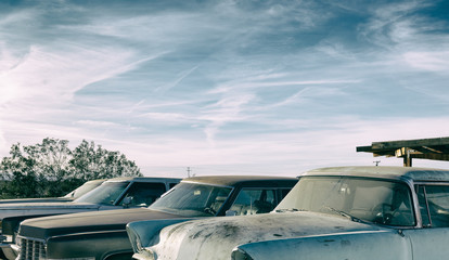 Fototapeta na wymiar Abandoned vintage American cars covered by dust.