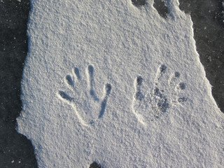 Human hand print in fresh white snow