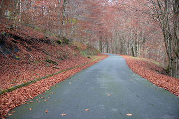 carretera