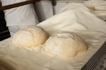 Production of baked bread with a wood oven in a bakery.