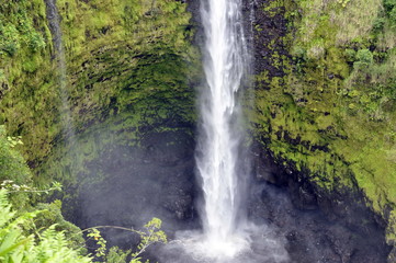 Akaka Falls, Hawaii, USA