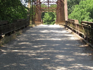 Single lane bridge through the trees