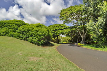 Fototapeta na wymiar Kauai, Hawaii, USA