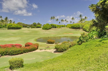 Golf Course in Kauai, Hawaii, USA