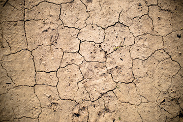 Dry Cracked Earth Detail 08